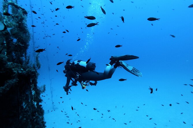 2 Scuba Fun Dives for Certified Divers in St Pauls Bay - Safety Precautions and Guidelines
