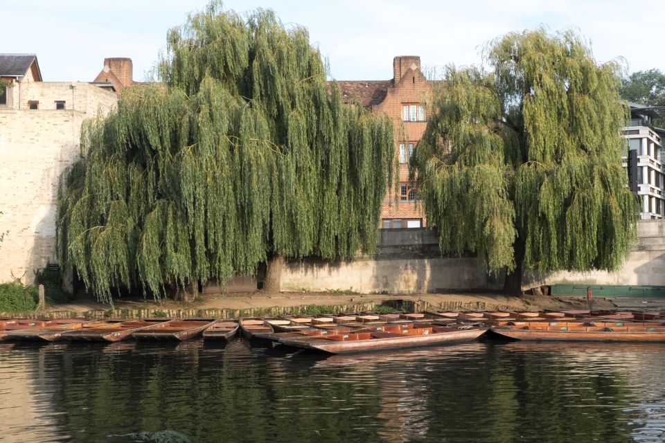 Cambridge: Punting Tour on the River Cam - Tour Logistics and Policies