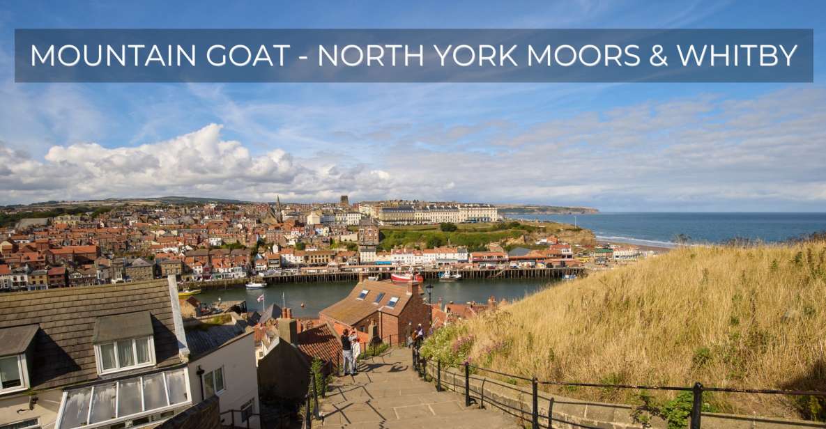 From York: North York Moors and Whitby Guided Tour - Essential Information and Tips