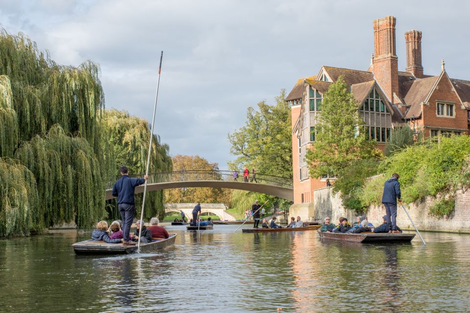 Cambridge: Punting Tour on the River Cam - Tour Overview and Pricing