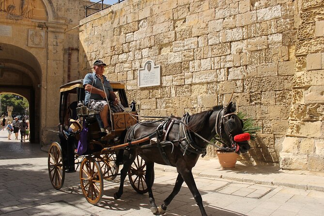 Mdina: Echoes of the Silent City A Historical Walking Guided Tour - Review Insights and Ratings Summary