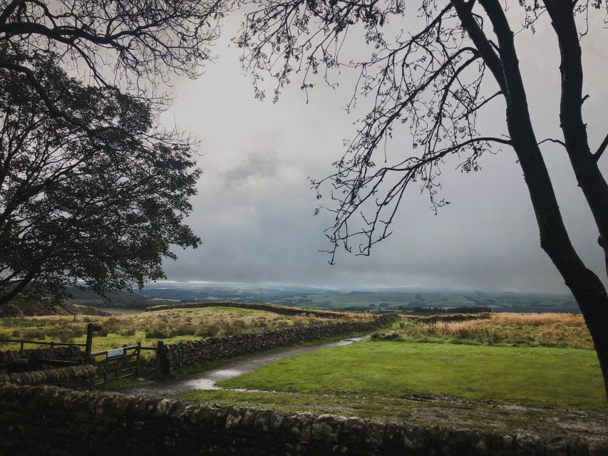 From Newcastle: Hadrians Wall Day Tour - Itinerary and Schedule Details