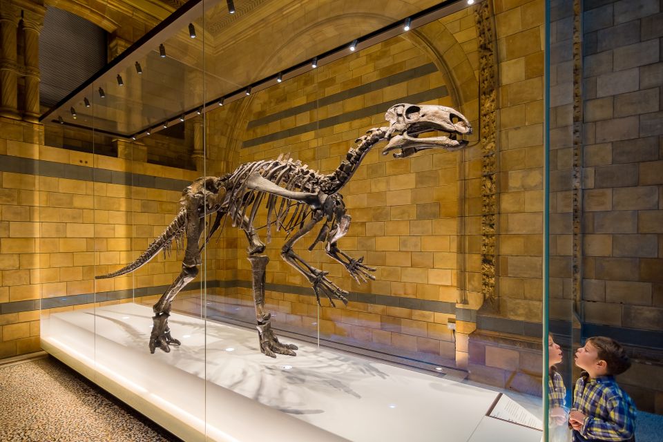 London: Natural History Museum Private Guided Family Tour - Reviews and Ratings From Tourists