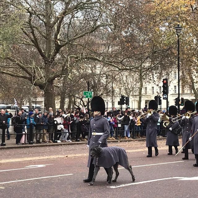 London: Private Changing of the Guard & Westminster Abbey - Important Tour Information