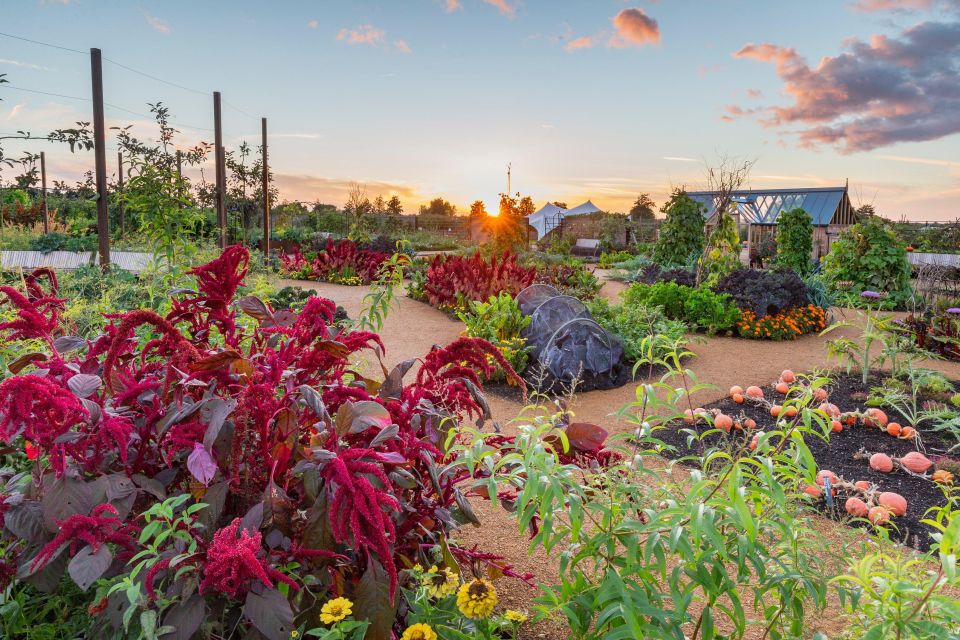 RHS Wisley and Hampton Court Palace Private Tour - What to Expect on Tour