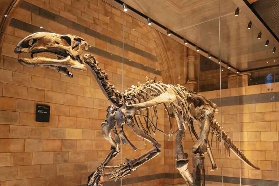 London: Natural History Museum Private Guided Family Tour - Wrap Up