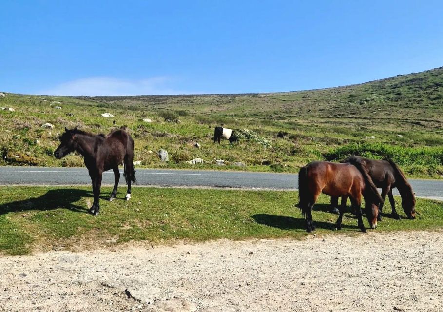 Exclusive Full Day Guided Tour - Lizard and West Cornwall - Tour Overview and Pricing