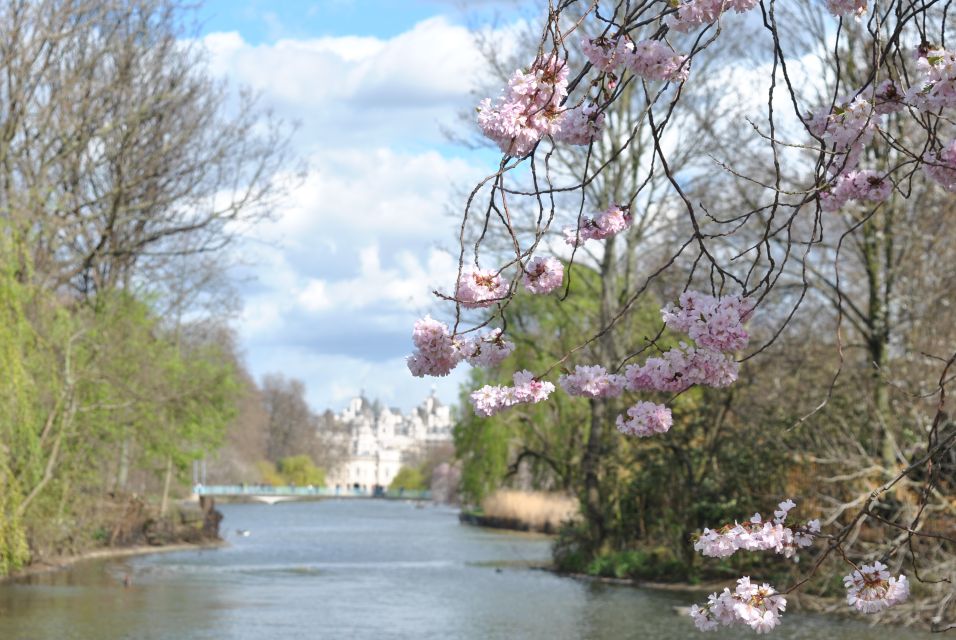 London: 4-Hour Panoramic Tour by Black Taxi - Exploring Londons Famous Landmarks