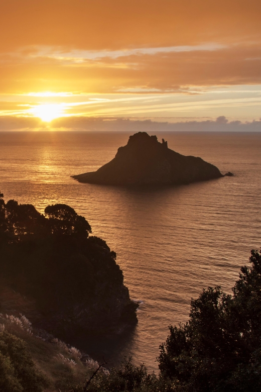 Devon: South Devon Coast and Landscapes - Brixhams Maritime Heritage Revealed