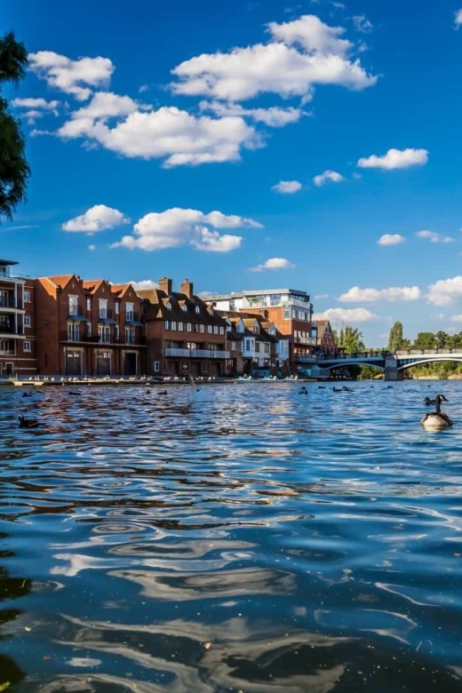 Oxford, Blenheim Palace & Bicester Village: Luxury Day Tour - Shopping at Bicester Village