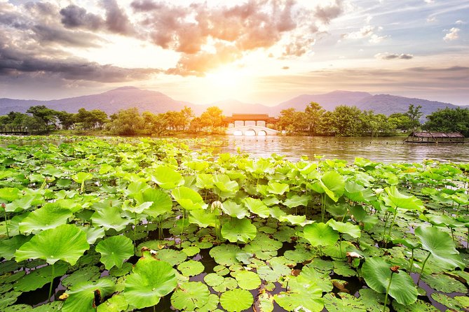 One-Day Hangzhou Dragon Well Tea Culture & West Lake Private Tour - Tour Highlights