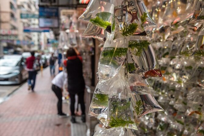 Kowloon Walking Tour on the Dark Side of Hong Kong - Weather Considerations