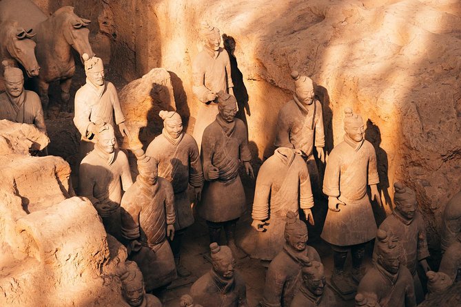 Xian Terracotta Warriors & and Horses Highlight Day Tour - Itinerary Overview