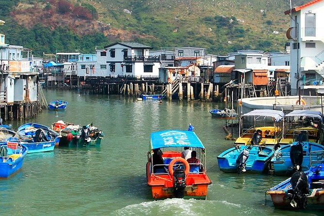 Lantau Island Day Trip - Big Buddha & Tai O () 1k Booked - Tour Guide Performance