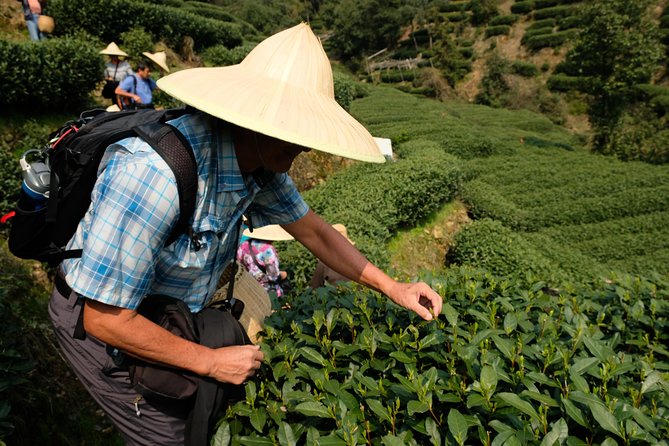 One-Day Hangzhou Dragon Well Tea Culture & West Lake Private Tour - Meeting and Pickup Details