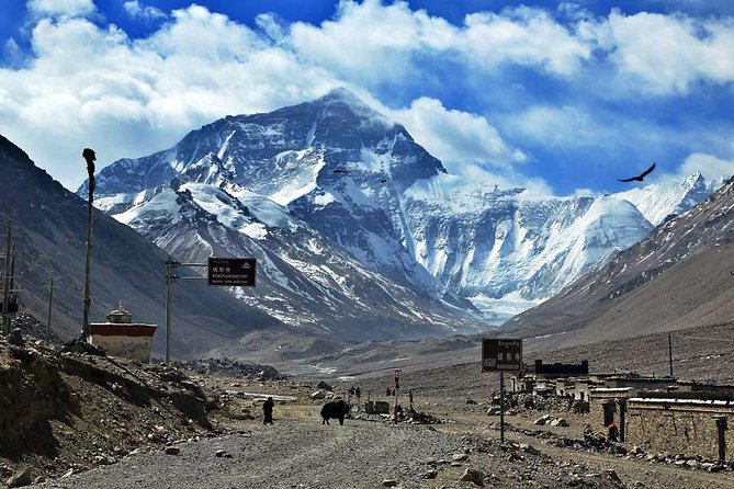 8 Days Lhasa Gyantse Shigatse Mt Everest Group Tour - Meals and Dining Options