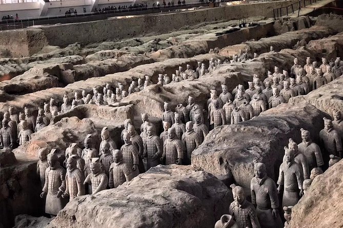 Mini Group: Daily VIP Xian Terracotta Warriors and City Discovery Tour - Tour Inclusions