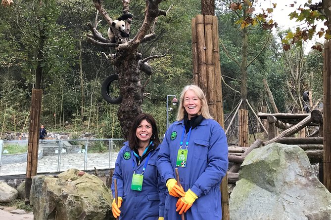 Private Dujiangyan Panda Base Panda Rescue Center Volunteer for a Day - Visitor Experiences