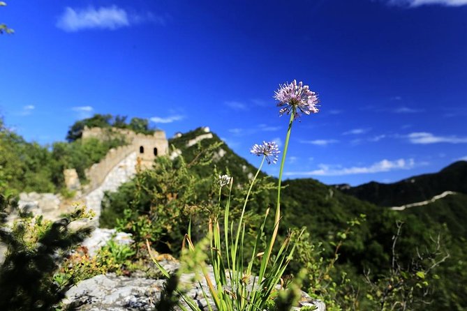 Private Great Wall Hiking From Jiankou to Mutianyu - Tour Experience Highlights