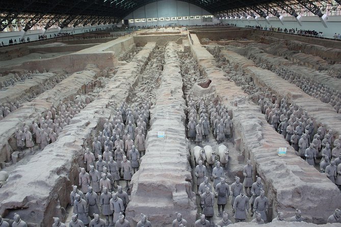 Terra-Cotta Warriors & Horses Essential Full Day Tour From Xian - Expert Commentary