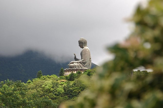 Full-Day Private Tour of Lantau Island Including Big Buddha and Tai O - Meeting Point and Logistics