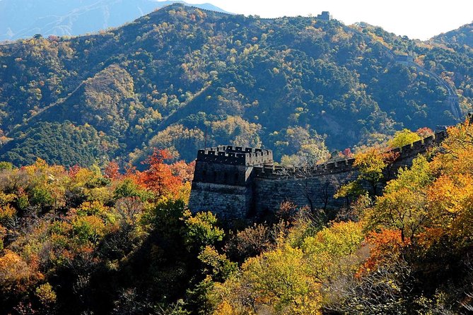 Great Wall of China at Mutianyu Full-Day Tour Including Lunch From Beijing - Tour Guides and Overall Experience