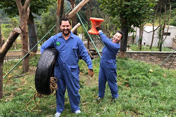 Visiting Dujiangyan Yaan Wolong Panda Base Optional Volunteering - Requirements and Impact of Volunteering