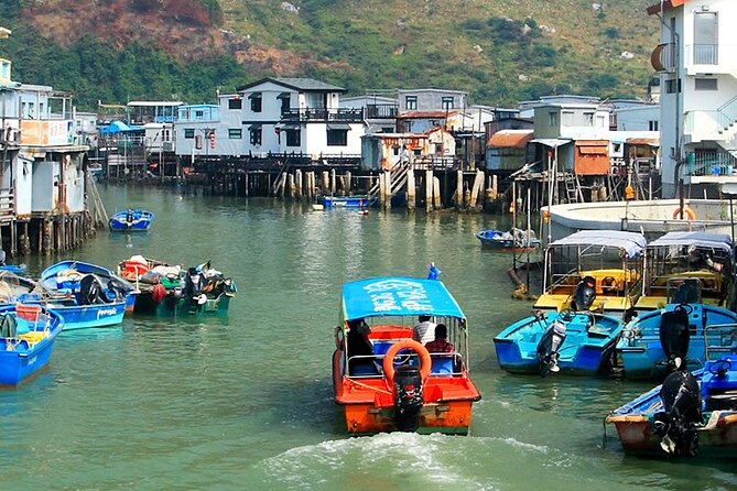 Lantau Island Tour - Big Buddha & Tai O () 500 Booked - Customer Reviews Summary