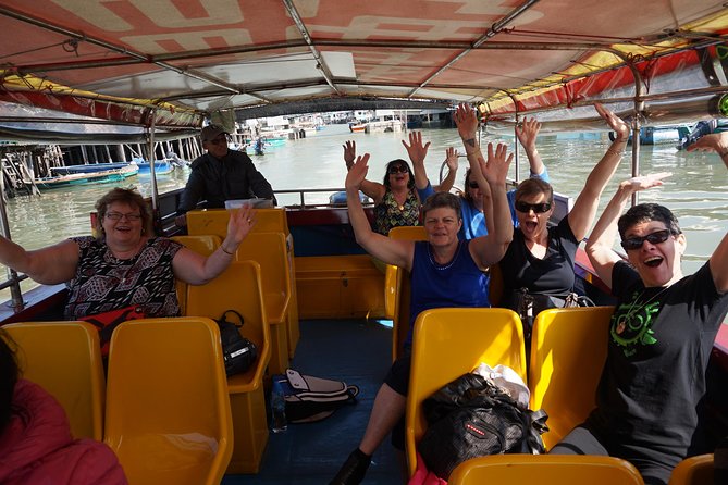 Full-Day Private Tour of Lantau Island Including Big Buddha and Tai O - Host Responses and Services