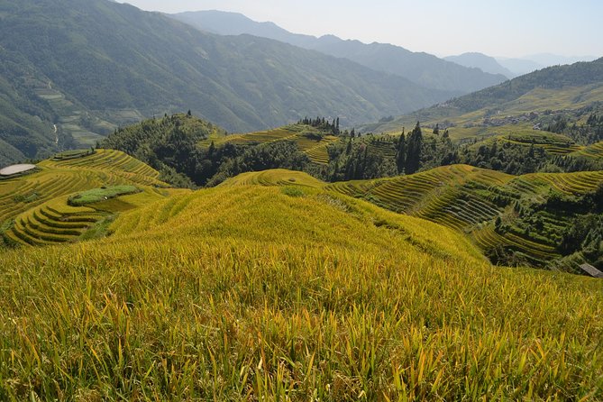 One Day Private Longshen Rice Terraces Tour Including Lunch - Tour Pricing and Details