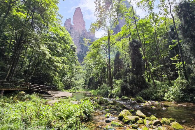 Zhangjiajie National Forest Park 2-Day Guided Tour - Tour Highlights