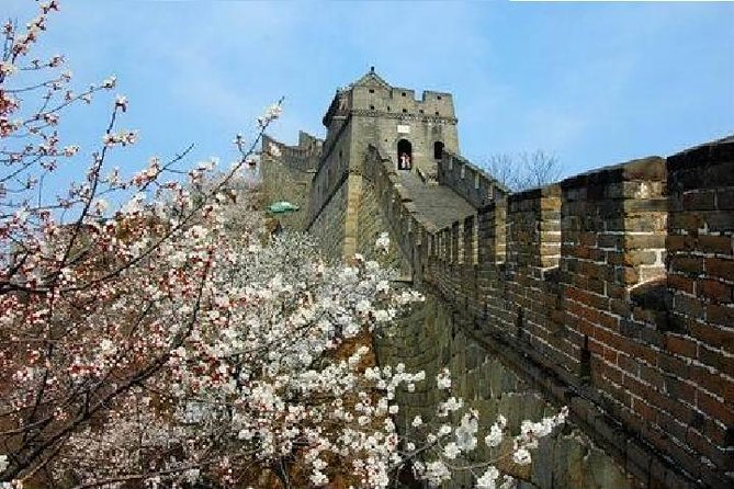 Private Beijing Layover Tour: PEK Airport to Mutianyu Great Wall - Traveler Information