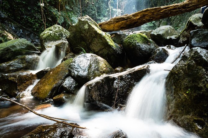 Tai Mo Shan Waterfall Adventure Hike - Activity Details