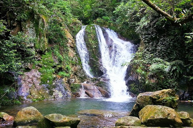 Tai Mo Shan Waterfall Adventure Hike - Recommendations and Description