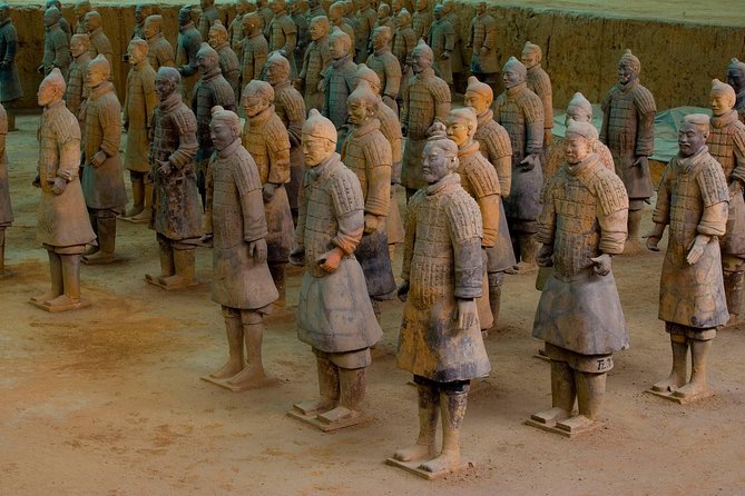 Xian in One Day: Day Trip From Shanghai by Air - Terra-Cotta Warriorrs & Horses - Logistics and Organization