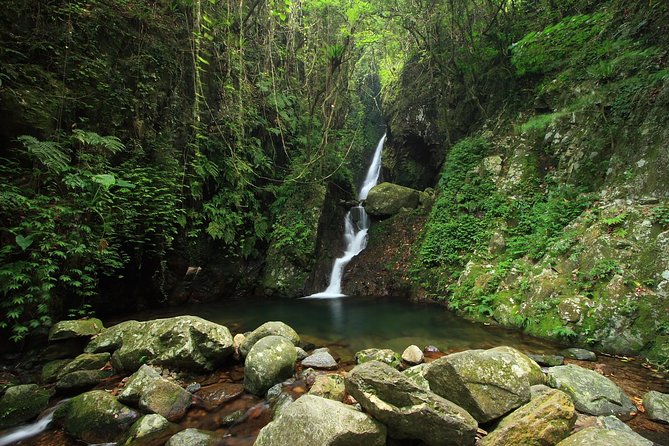 Tai Mo Shan Waterfall Adventure Hike - Booking Information and Highlights