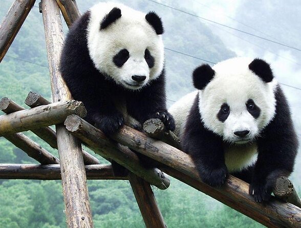 Chengdu Private Sightseeing Tour With Panda Breeding Center Visit - Key Takeaways