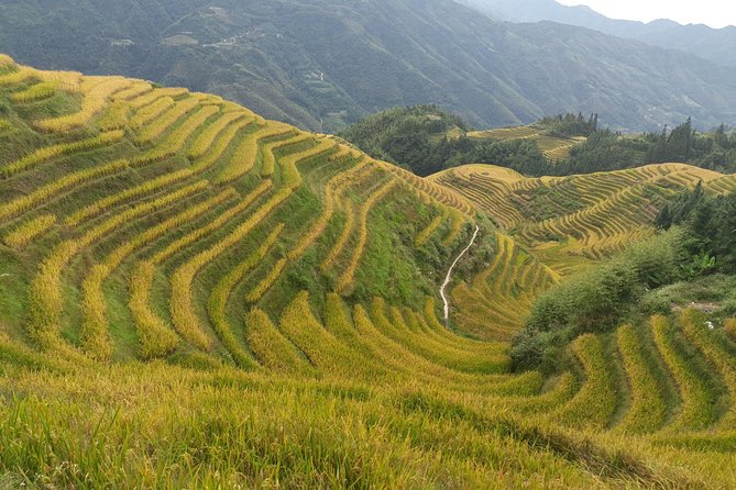 Private Day Tour: Longji Rice Terraces and Long Hair Village - Tour Details and Inclusions