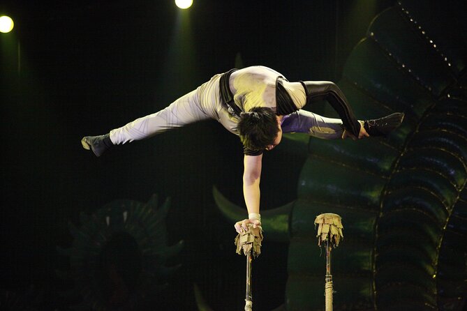 Beijing Chaoyang Acrobat Show VIP Seat And Quanjude Peking Duck Dinner - Additional Information