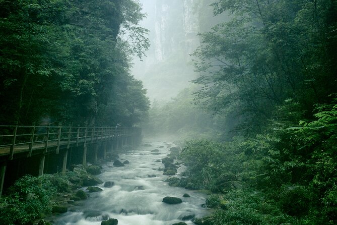 2 Full Days Zhangjiajie National Forest Park & Glass Bridge Tour - Tips for a Memorable Experience