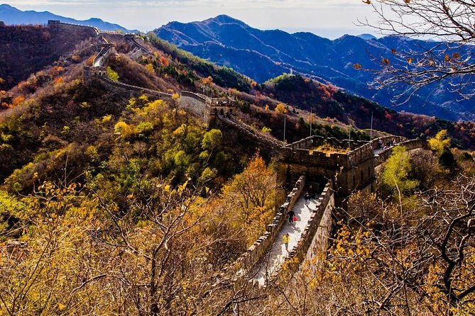 3-Day Private Beijing Tour With Forbidden City, Great Wall, Hutong and Lunch - Customer Reviews