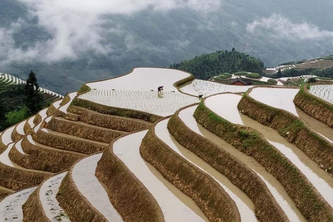 Longji Rice Terraces and Minority Village Day Tour - Travel Tips