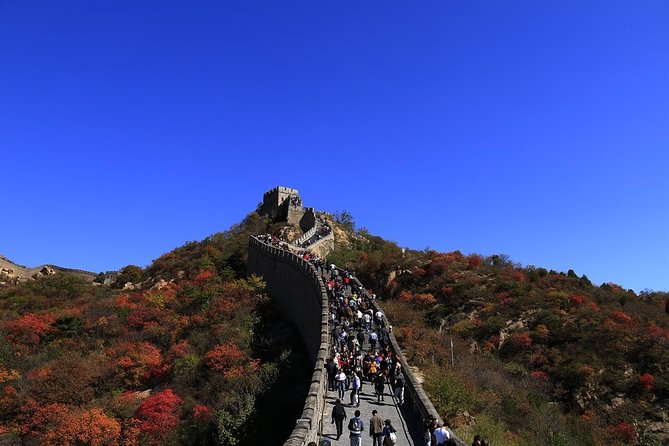 Private Day Tour of Mutianyu Great Wall From Beijing Including Lunch - Customer Reviews