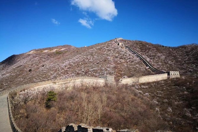 Private Layover Tour to Mutianyu Great Wall and Forbidden City - Booking Information