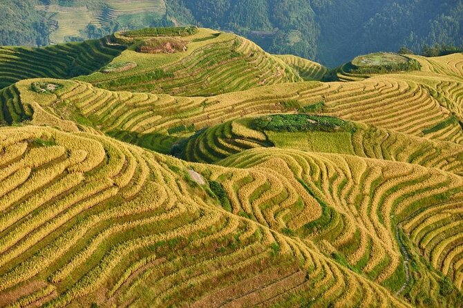 Longji Rice Terraces and Minority Village Day Tour - Key Takeaways