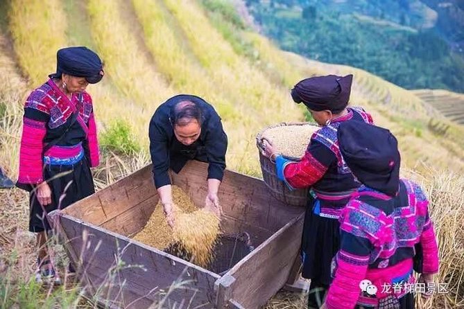 Longji Rice Terraces & Minority Villages Private Day Tour