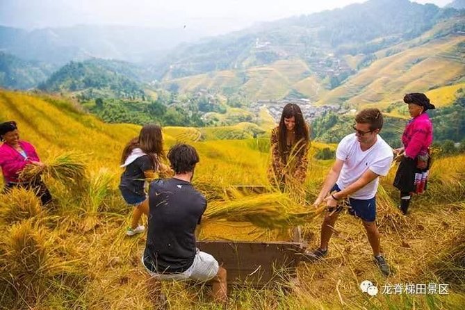 Longji Rice Terraces & Minority Villages Private Day Tour - Transportation Logistics