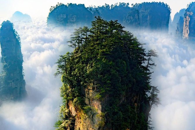 Zhangjiajie National Forest Park Guided Day Tour - Detailed Tour Itinerary