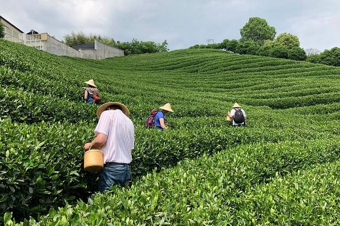 1-Day Village Tea Picking, Roasting & Serving Guided Private Tour From Hangzhou - Traditional Lunch