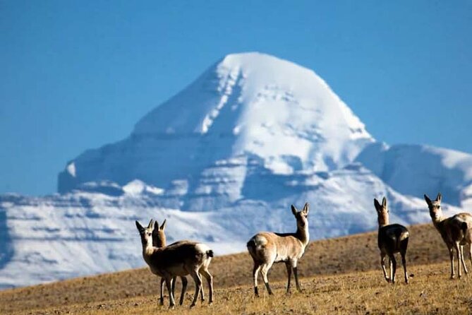 15 Days Lhasa to Kailash, Manasarova (trekking)Small Group Tour - Accommodation Information